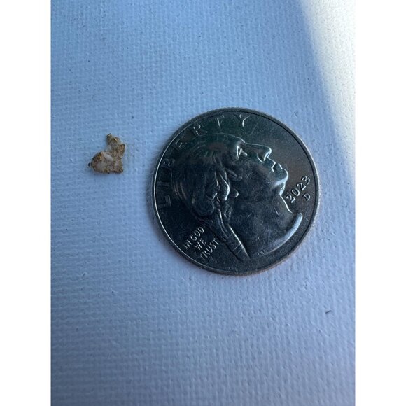 Gold Nugget - Grass Valley, California - 0.25 grams - Picture 2 of 7